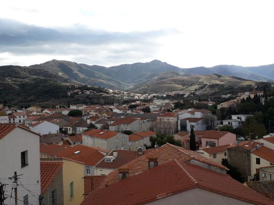 Banyuls La Grande Bleue : Studio T1 Exterior foto