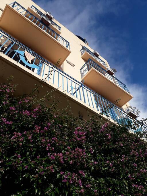 Banyuls La Grande Bleue : Studio T1 Exterior foto